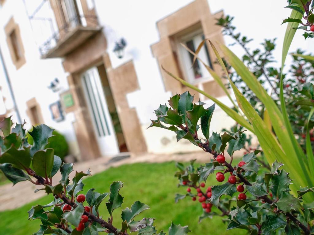 Casa Rural El Balcon De Tera Vendégház Kültér fotó